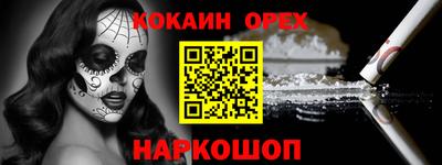 спайс Кингисепп
