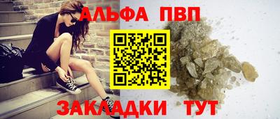спайс Кингисепп