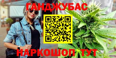 спайс Кингисепп