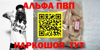 спайс Кингисепп