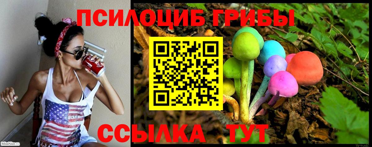 Кудымкар  Галлюциногенные грибы ЛСД  Галлюциногенные грибы ЛСД  Вход с VPN 